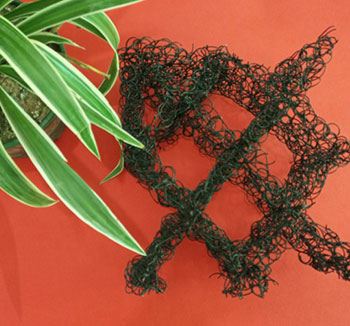 ���w�W������