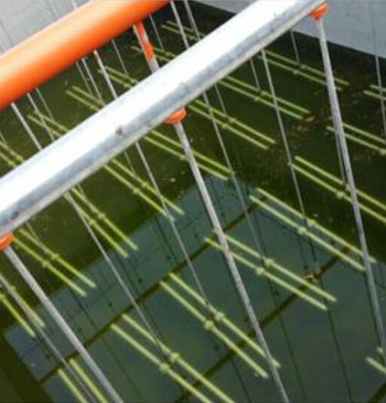 �Ғ���ؚ����ɹ�����